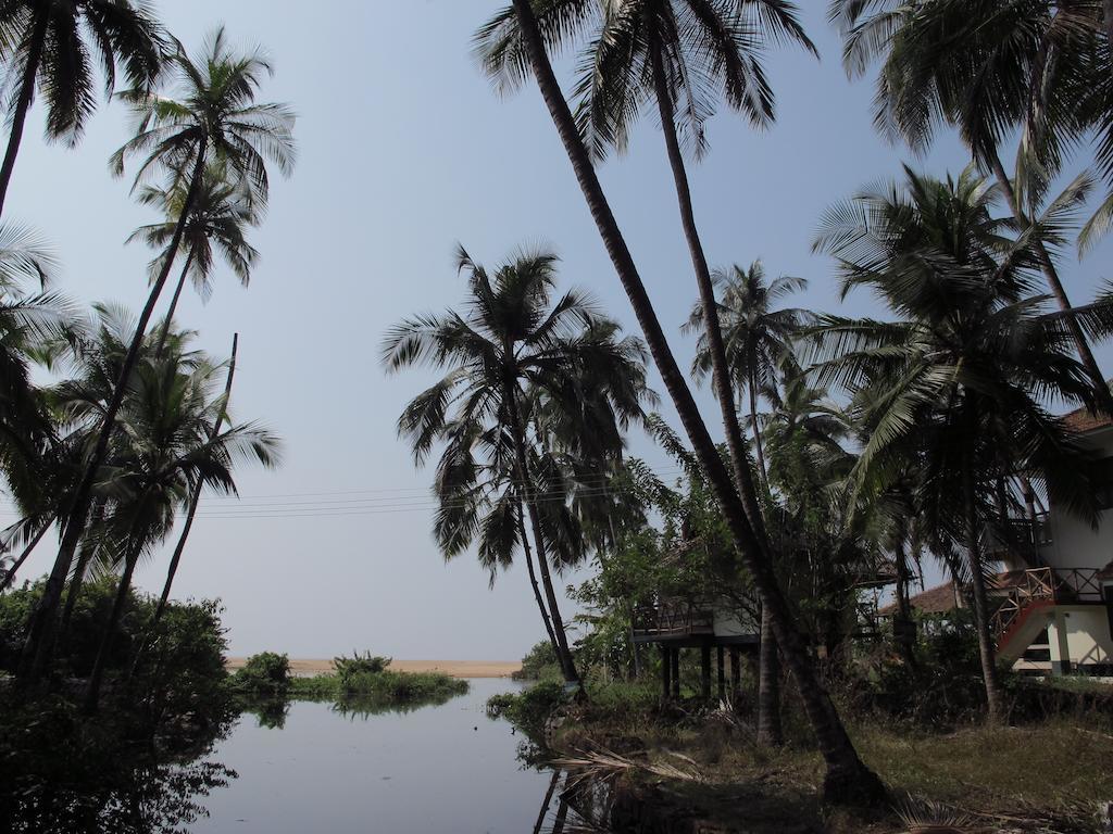 Ocean Green Kerala Kannur Exteriér fotografie