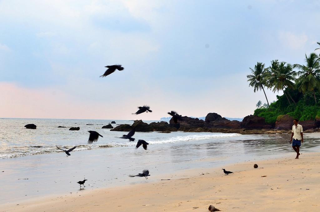 Ocean Green Kerala Kannur Exteriér fotografie
