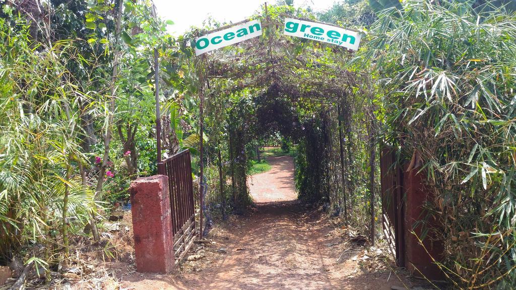 Ocean Green Kerala Kannur Exteriér fotografie