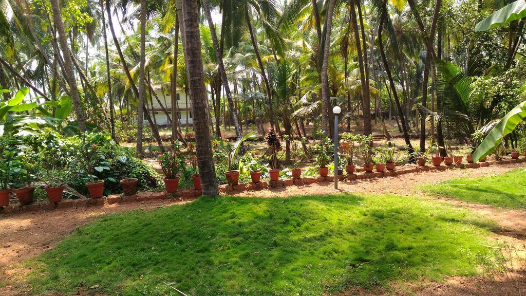 Ocean Green Kerala Kannur Exteriér fotografie