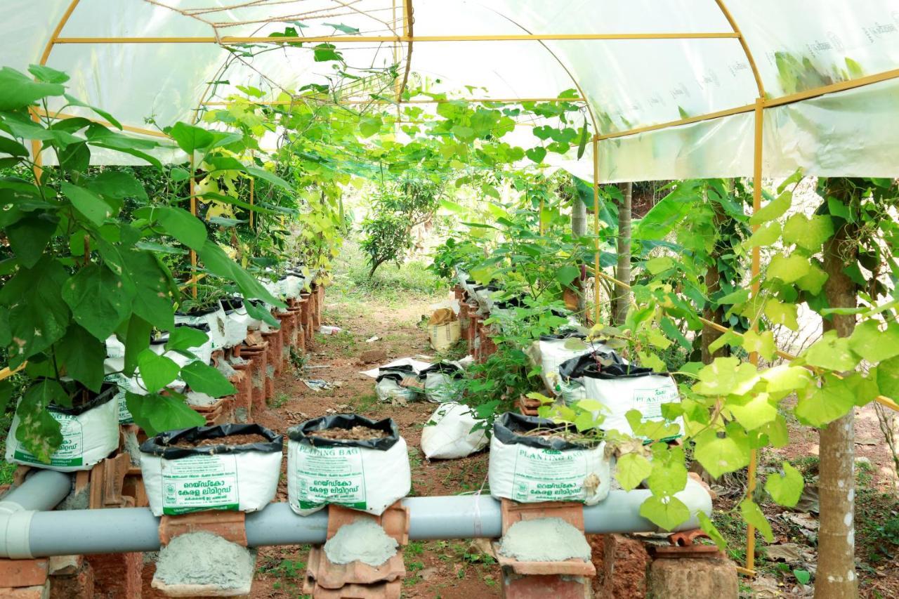Ocean Green Kerala Kannur Exteriér fotografie