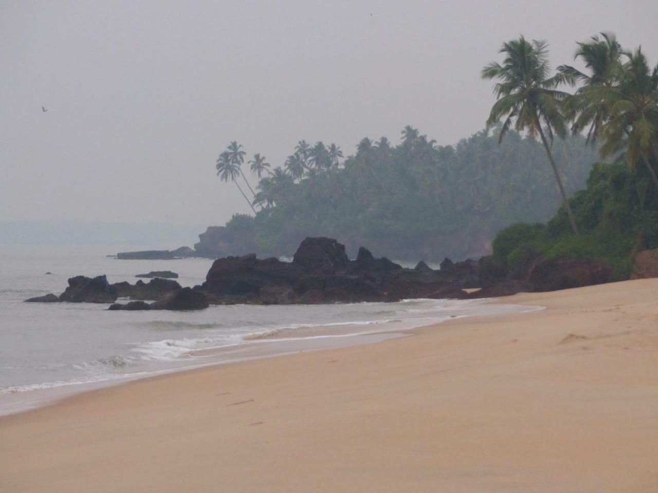 Ocean Green Kerala Kannur Exteriér fotografie