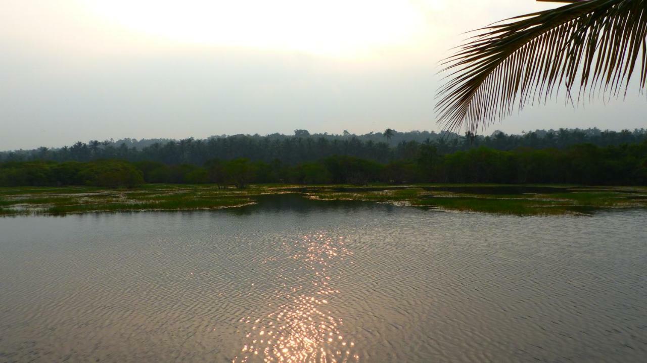 Ocean Green Kerala Kannur Exteriér fotografie